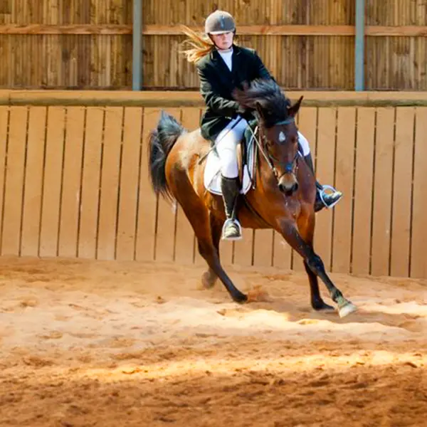 haras-du-parc-nexon