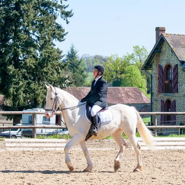 haras-du-parc-nexon