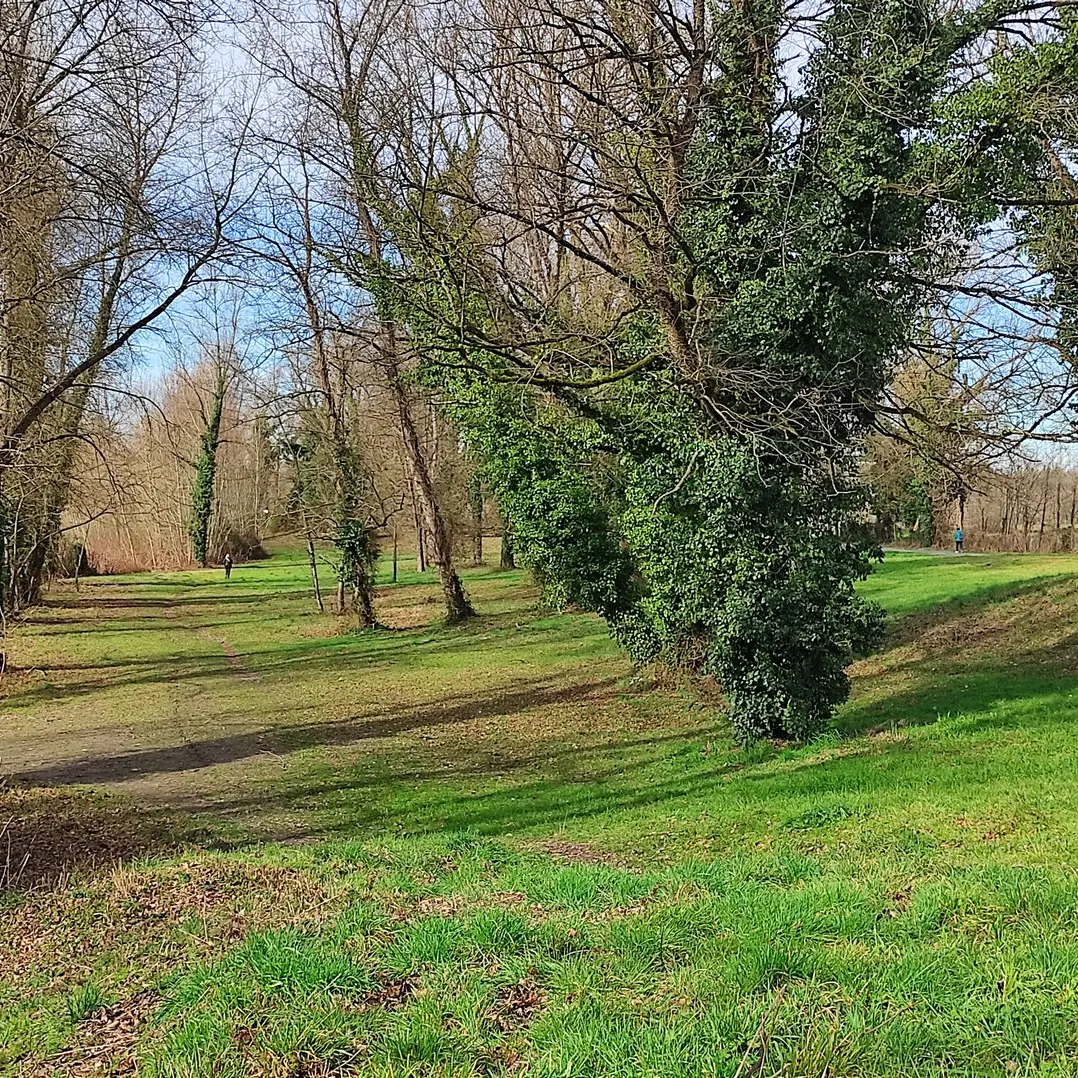 Lacs de Laroin - Laroin -  aire de pique nique