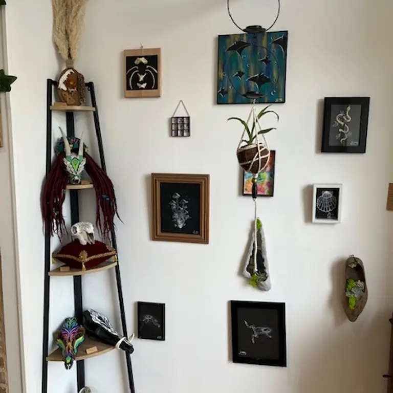 Cabinet de curiosités