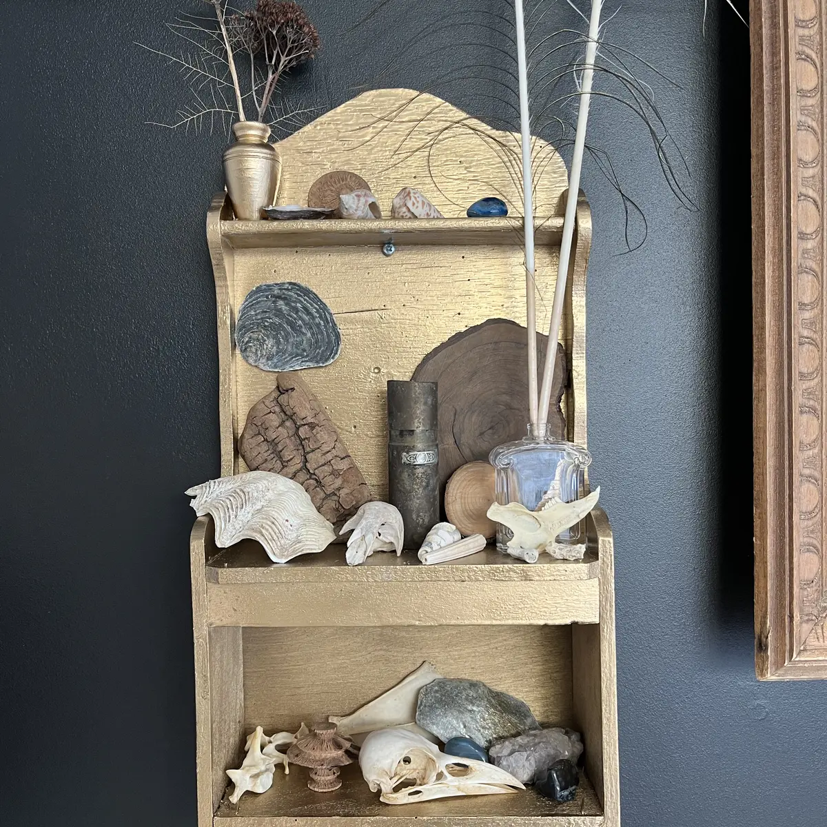 Cabinet de curiosités