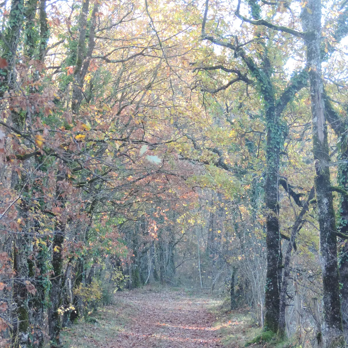 intersection_10_après5