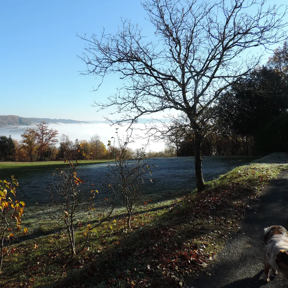 intersection_16_après1