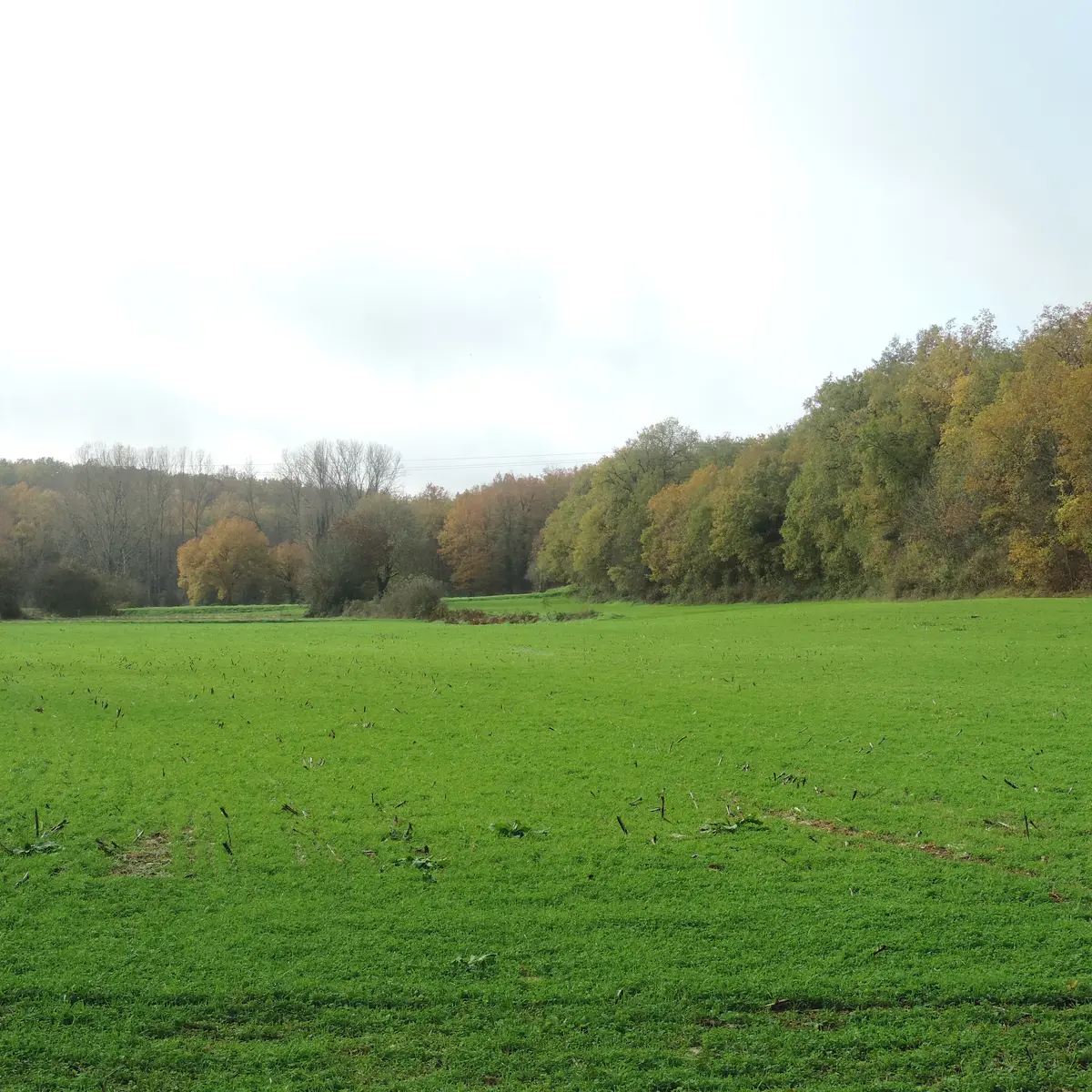 intersection14_après_2