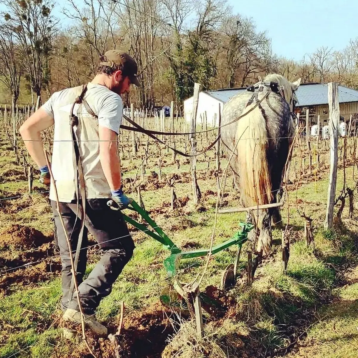 Clos Larrouyat - Gan - aux labours