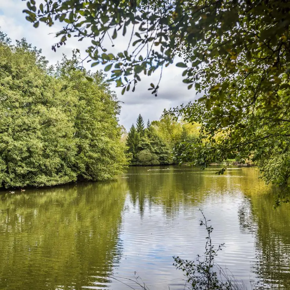 Lac des carolins - Lescar - le lac