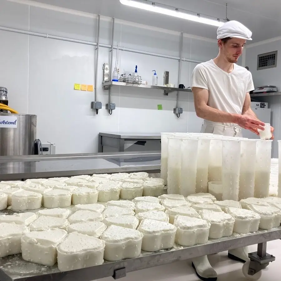 laiterie paloise laboratoire