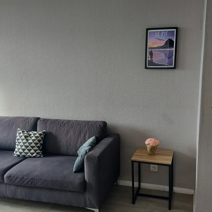 meublé Lille Dominique - Pau - côté salon