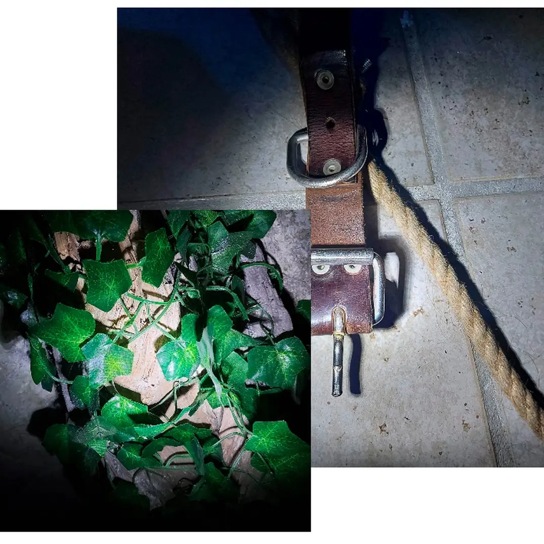 Madness Escape Game - Pau - jeu 3