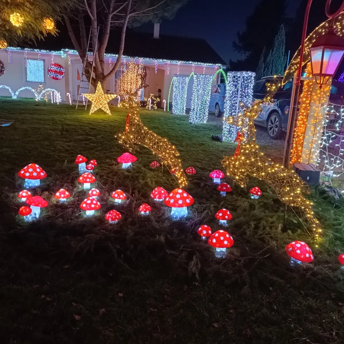 maison illuminée  noël la meyze champignons