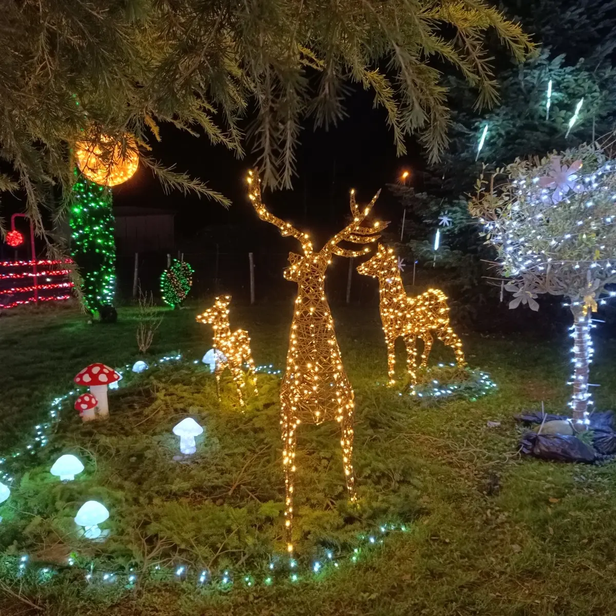 maison illuminée  noel la meyze rennes