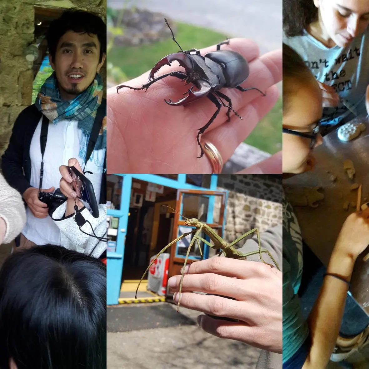 montage pour manipulation & atelier de modelage