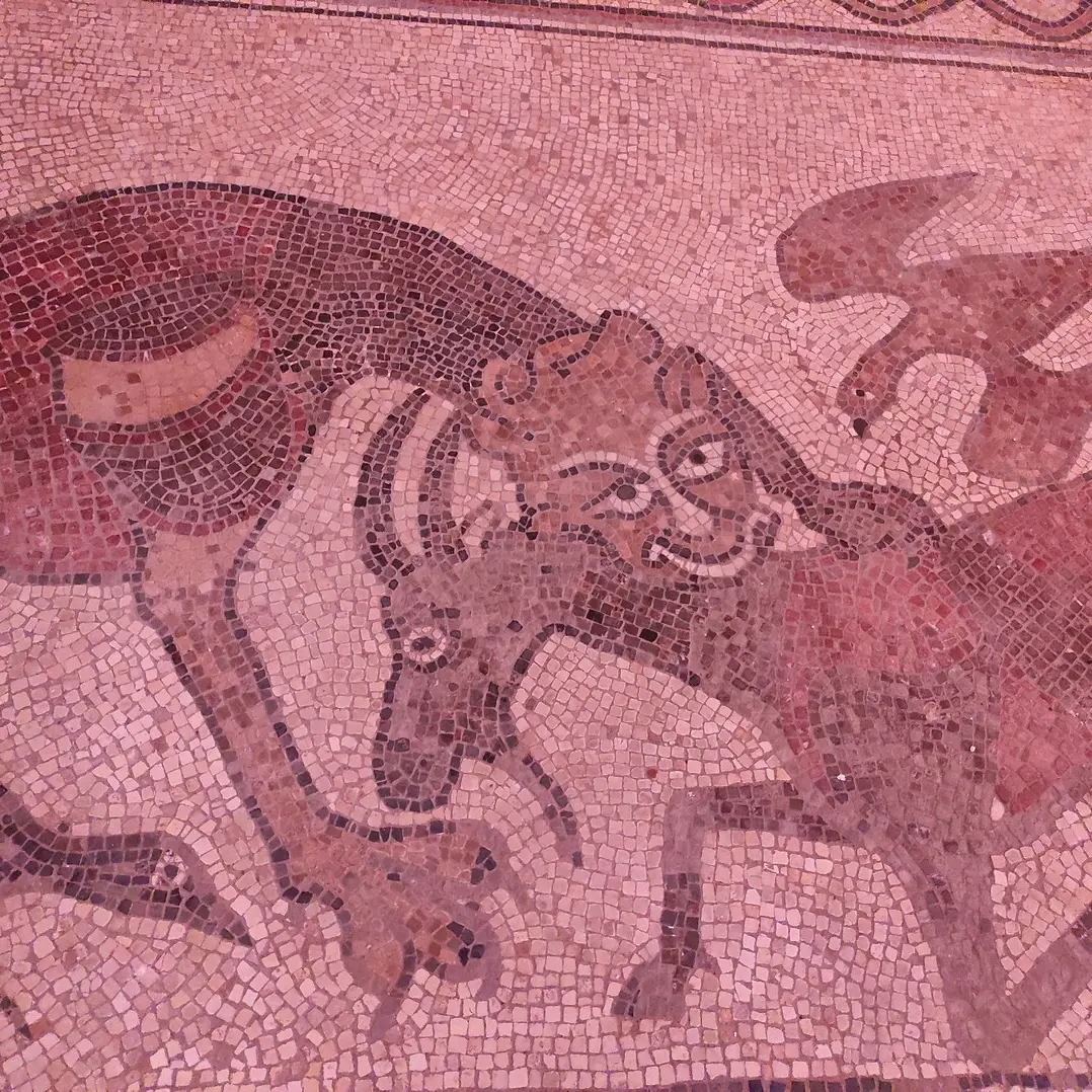Mosaïque Cathédrale de Lescar - Lescar - détail bouc
