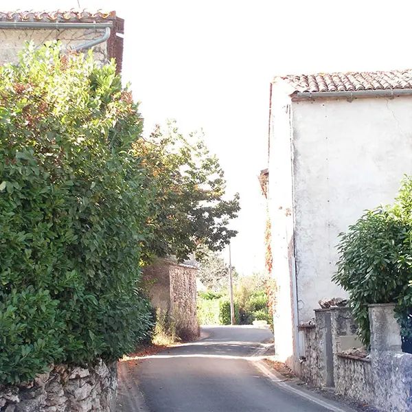 nastringues-rue