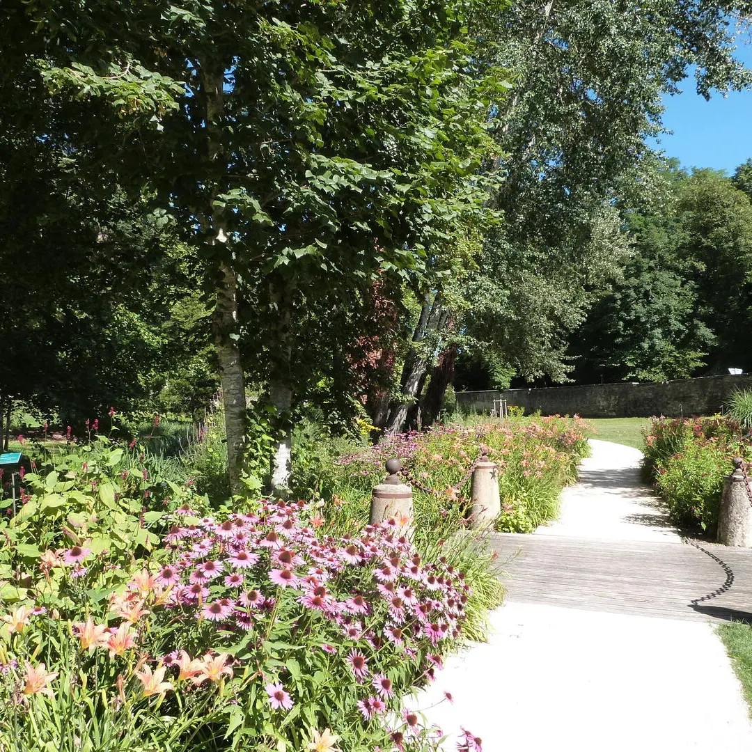 parc campagne_2017 (50)