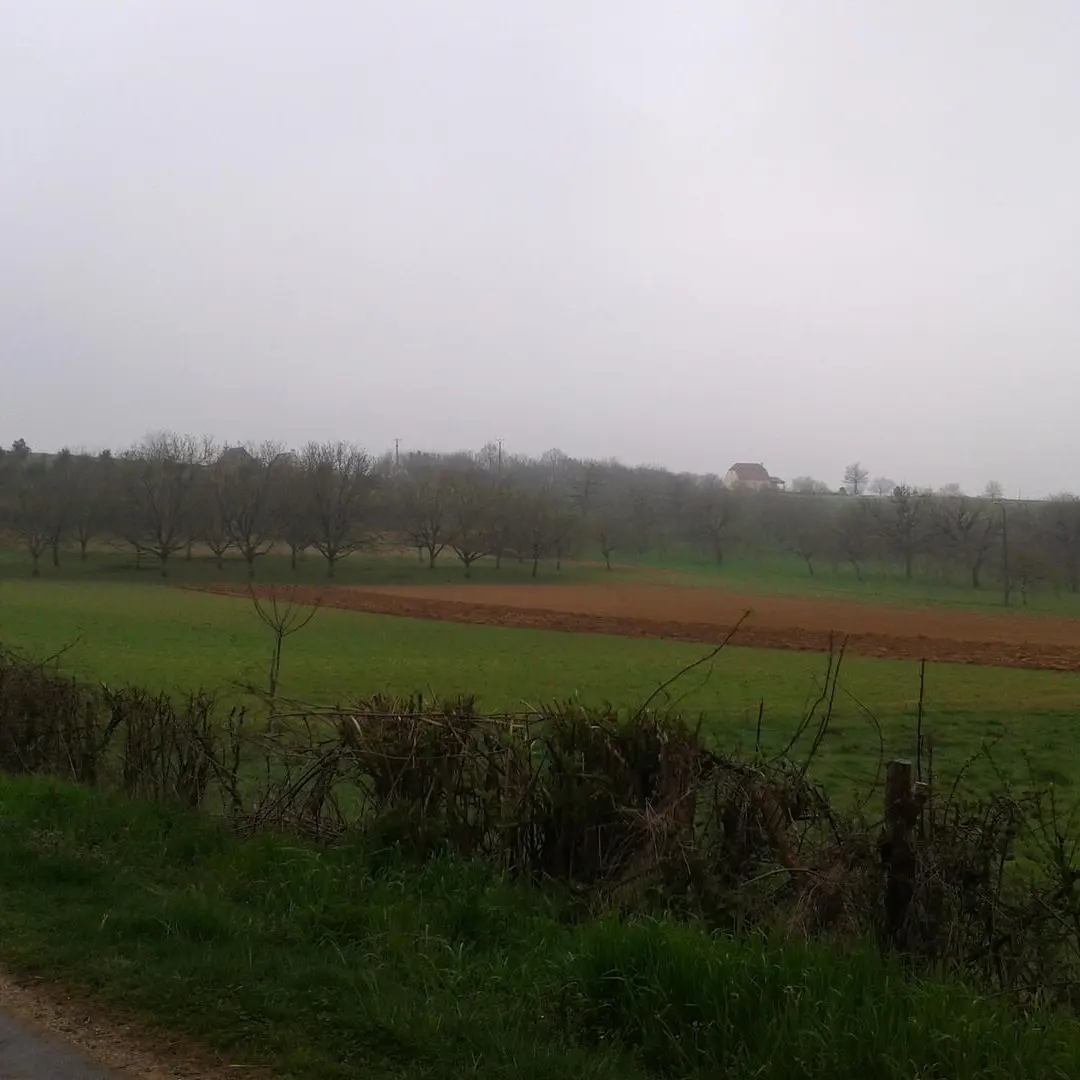 paysage