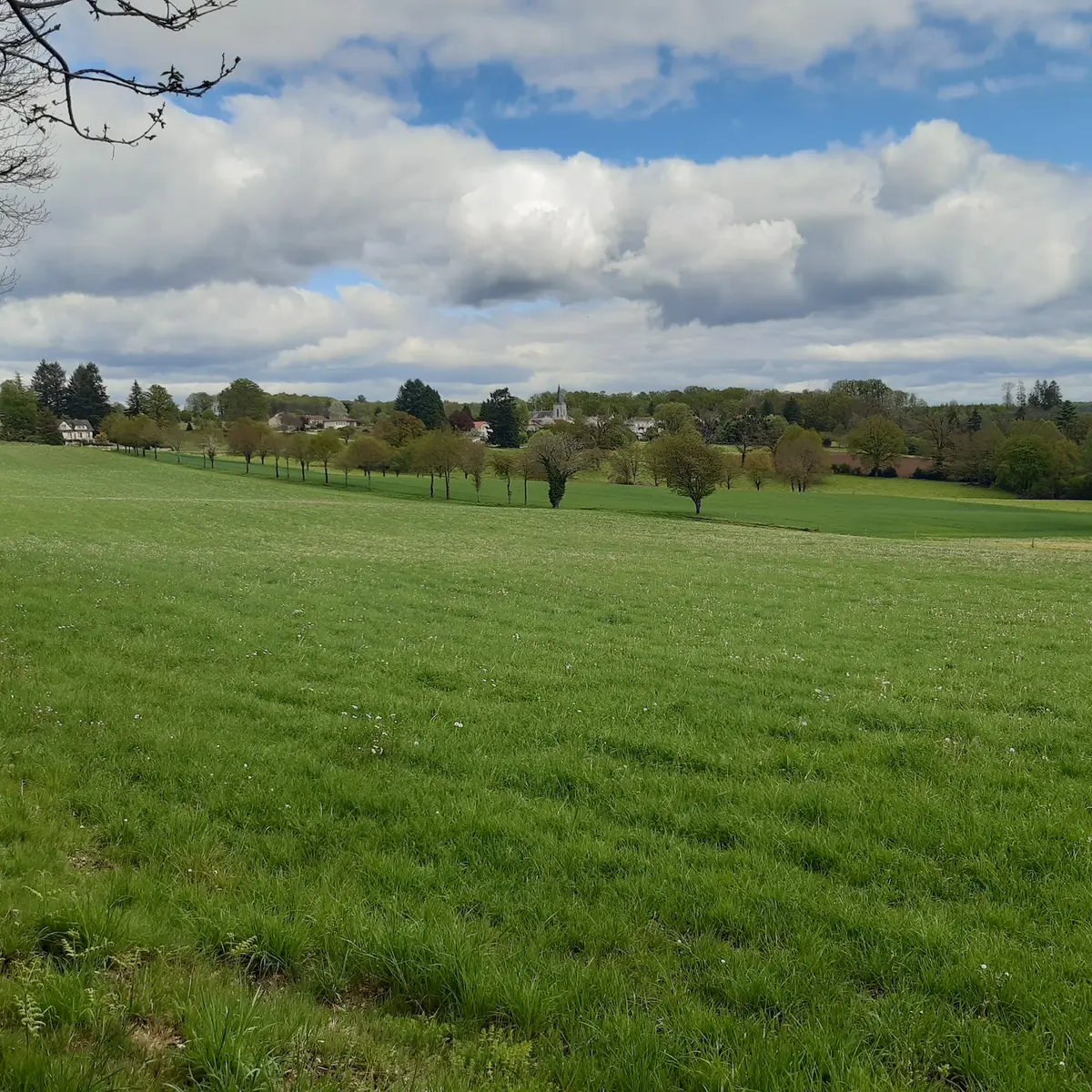 paysage