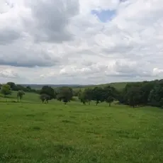 paysagelaudonie.jpg1