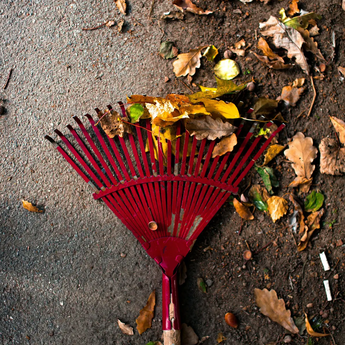 pexels-natalya-sh-83912098-9735037