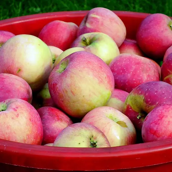 pommes