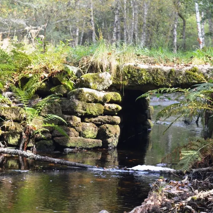 pont
