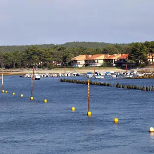 plage du Courant 3