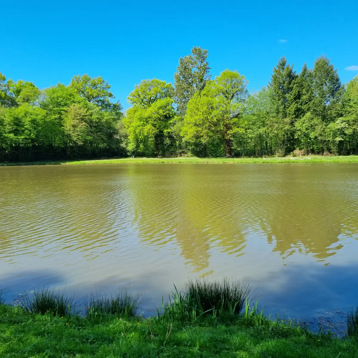 plan d'eau - St Pardoux Corbier ©L Léonard (1)