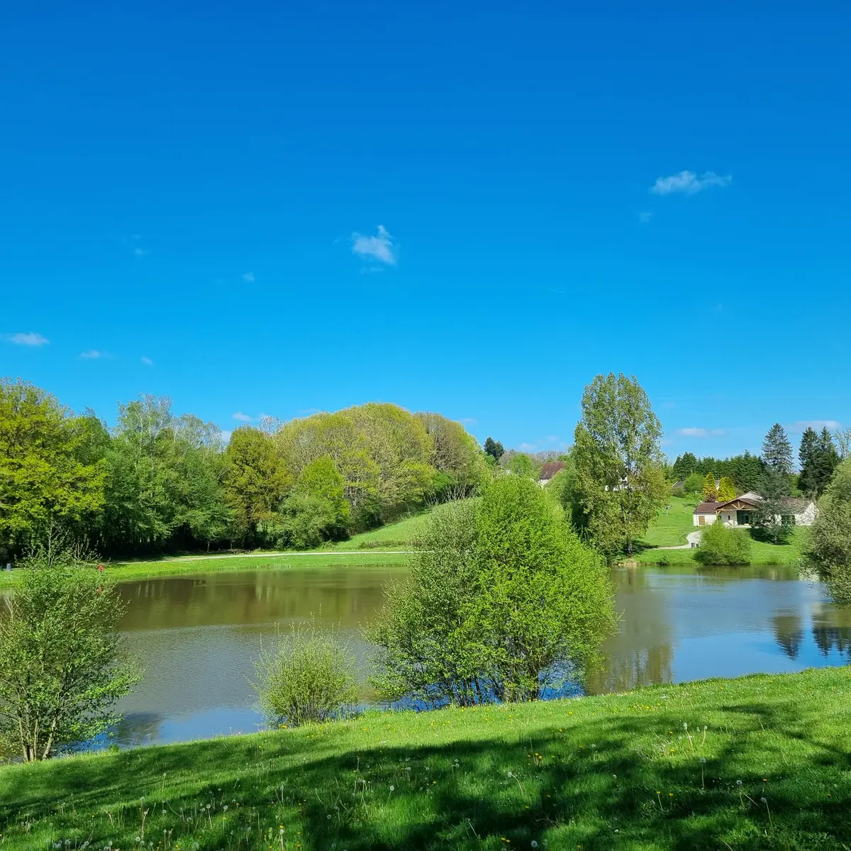plan d'eau - St Pardoux Corbier ©L Léonard (5)