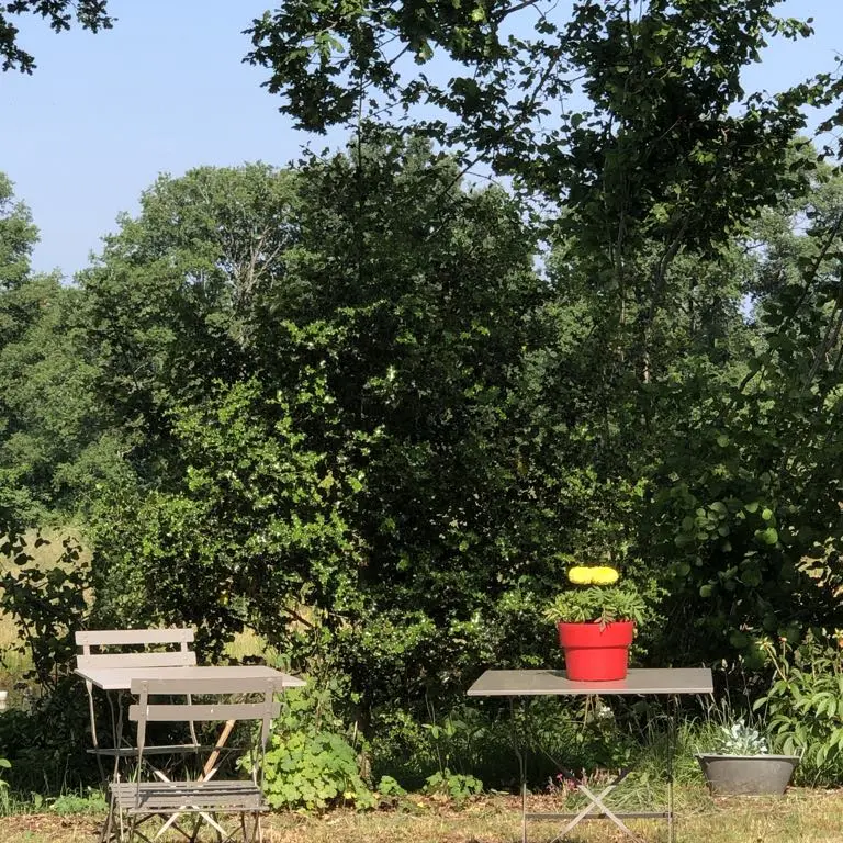 prendre une boisson sous les arbres à la ferme de fardissou