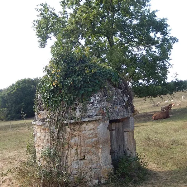 puits en pierre