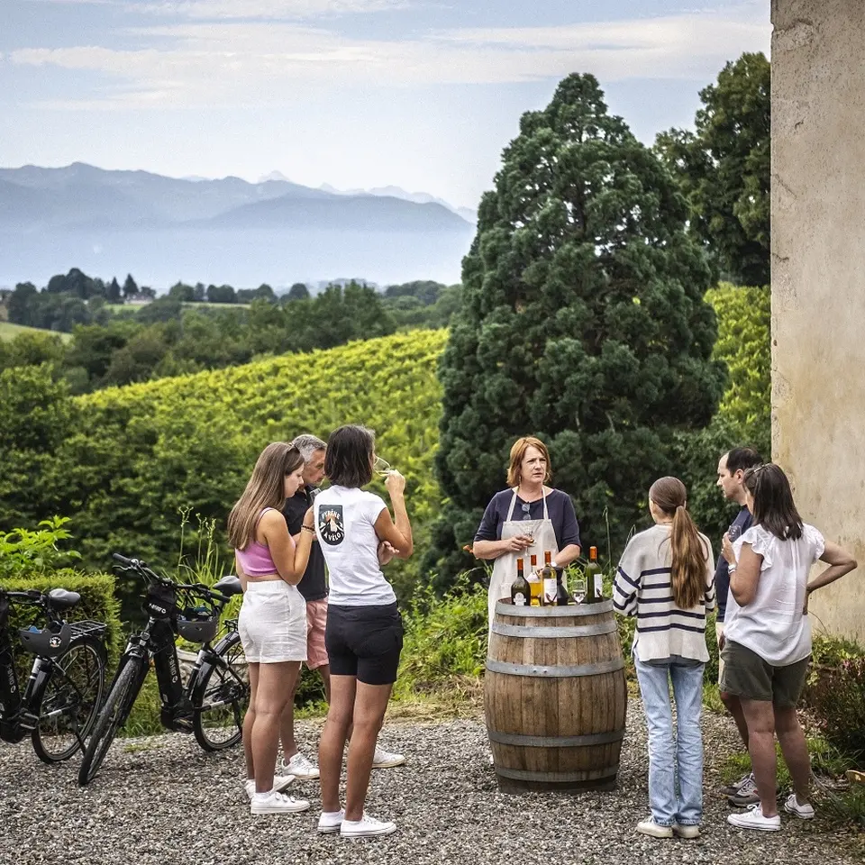 Coteaux de Jurançon dégustation