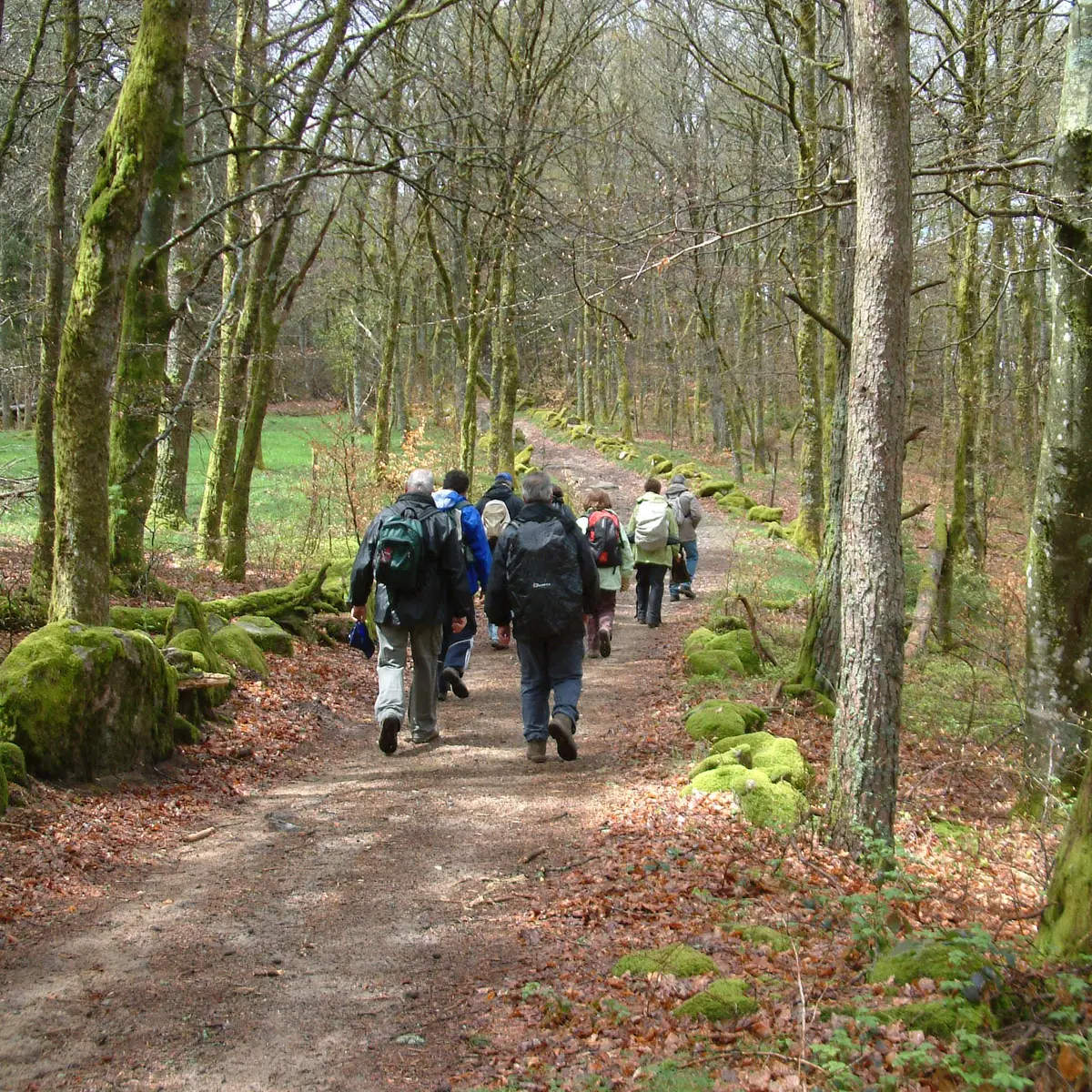 rando avril 2012 022