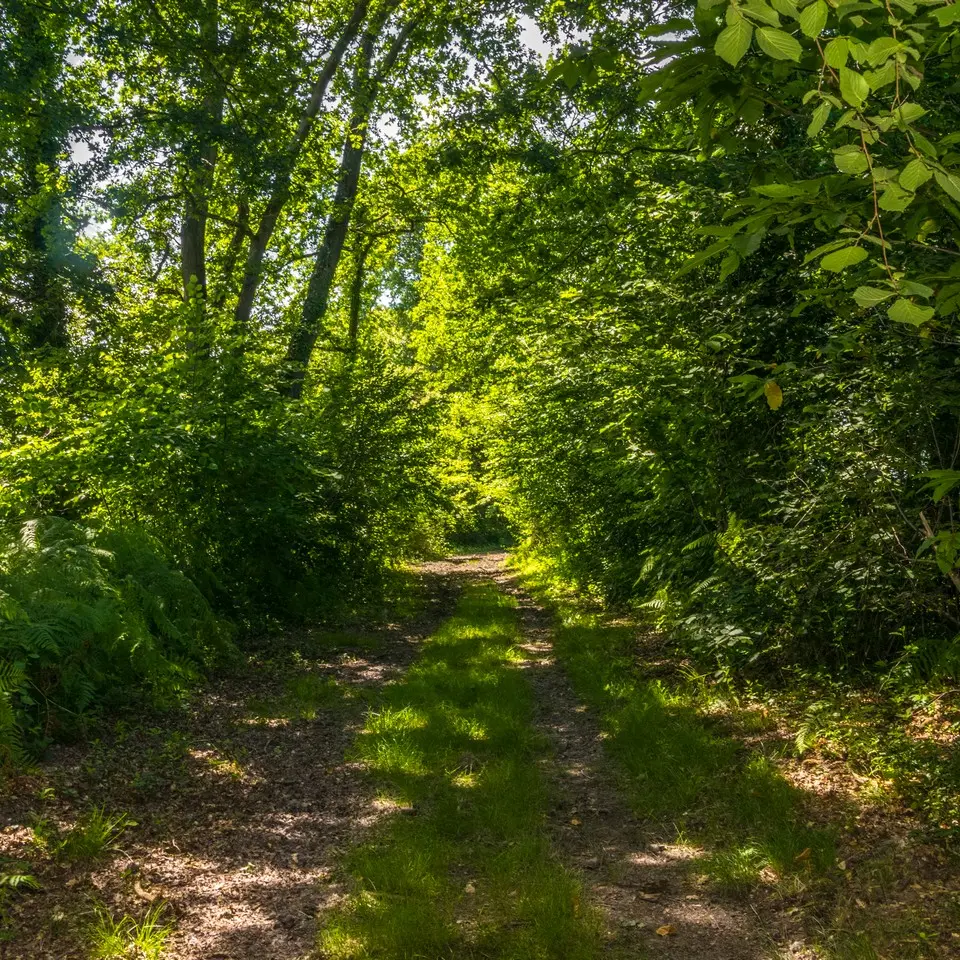 rando-pau-uzein-boucle-hialere-04