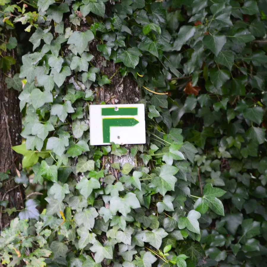 Sur les sentiers de Flavignac