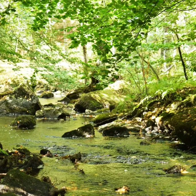 rivière