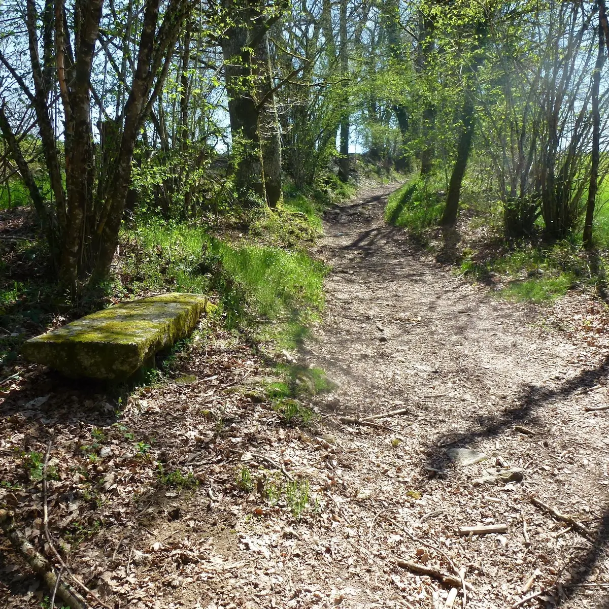 sentier Aureil