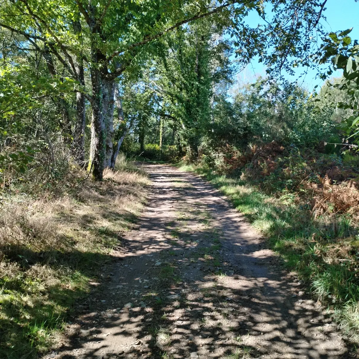 sentier les Cars