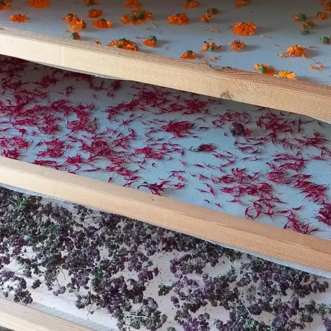 Initiez vous à la permaculture