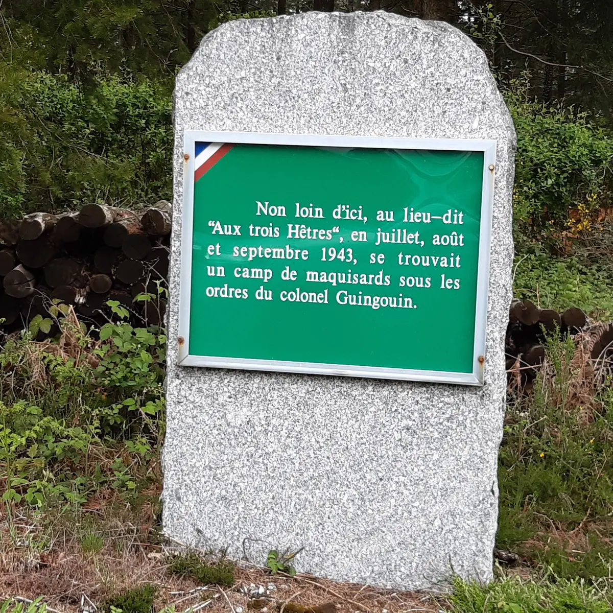 stèle Mont Gargan