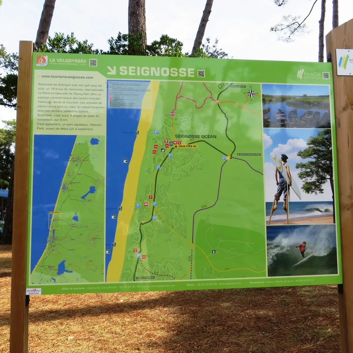 sur la velodyssée à Seignosse©seignossetourisme