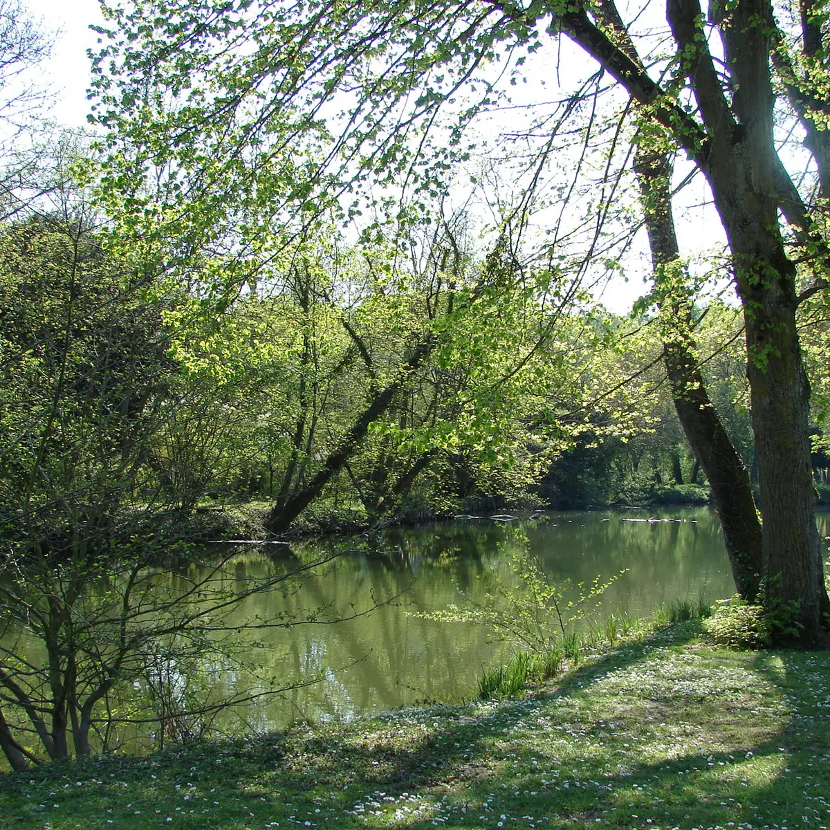 Camping Au Coeur de Vendôme -Emplacements  au bord du Loir(3)