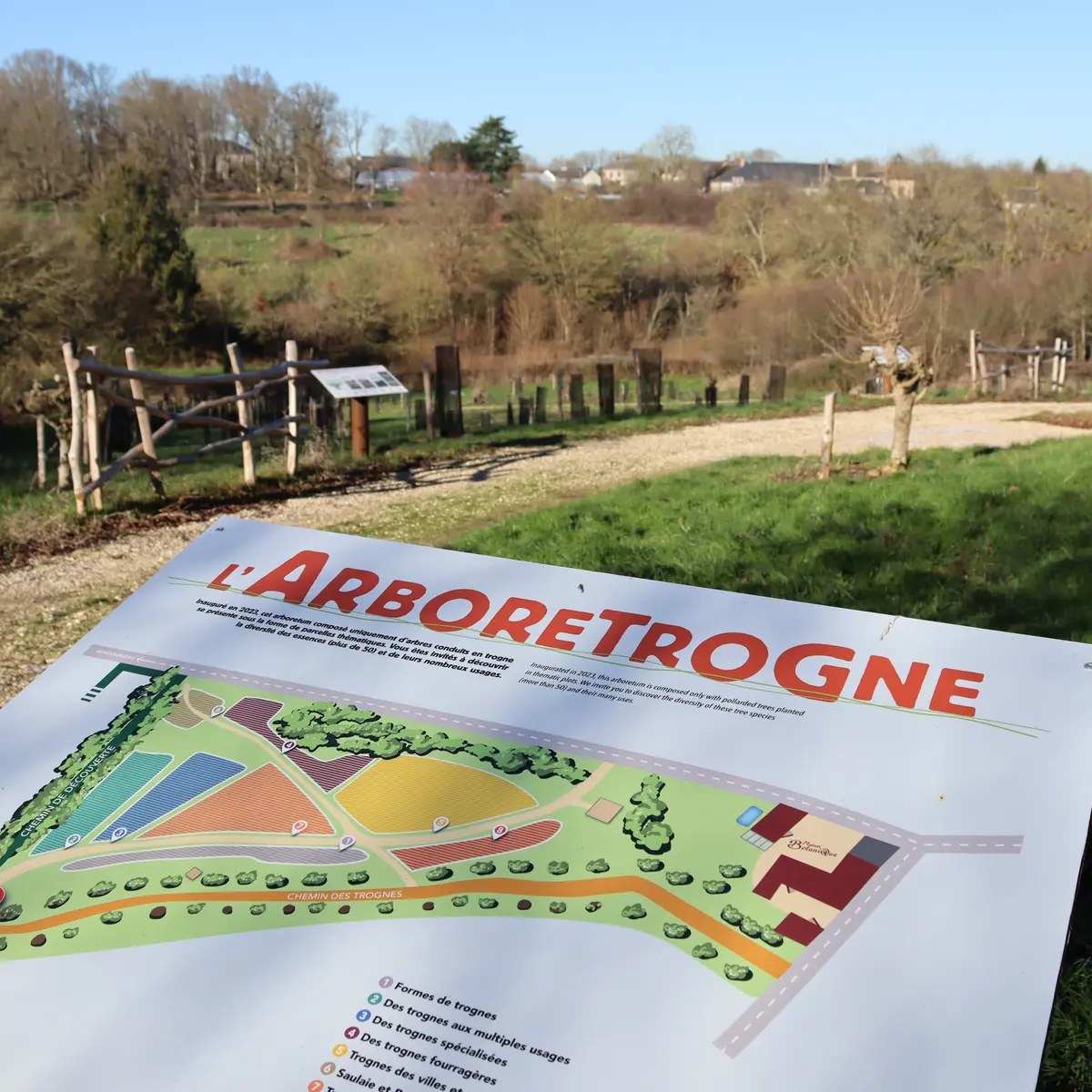 Arboretrogne-boursay