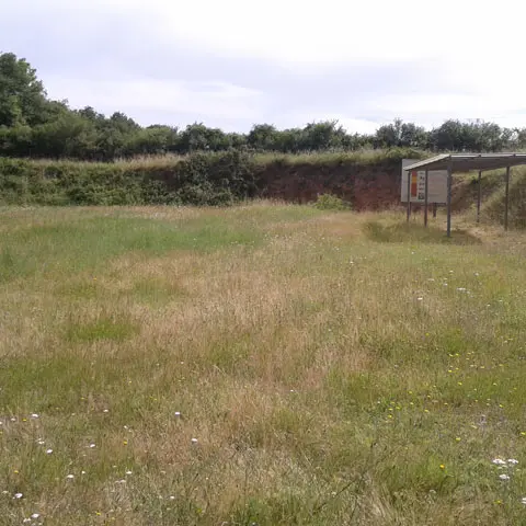 Les-Grouais-de-Chichera©CDPNE-(1)