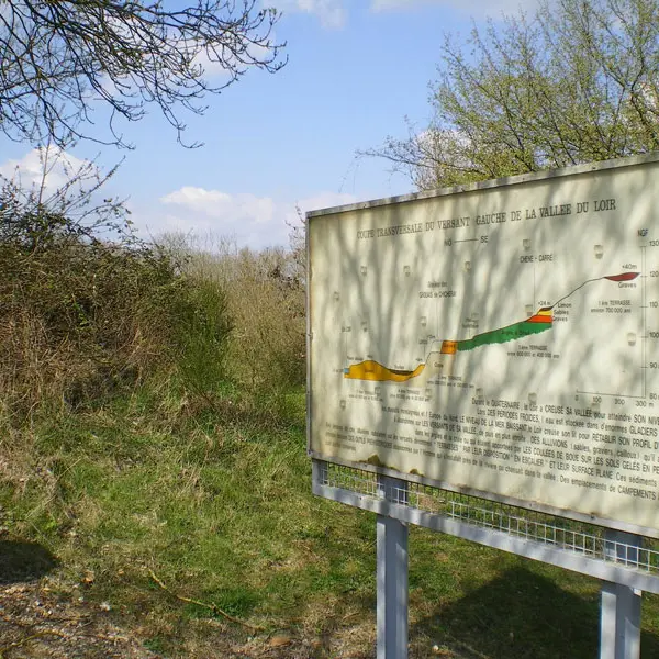 Les-Grouais-de-Chicheray©CDPNE-(3)