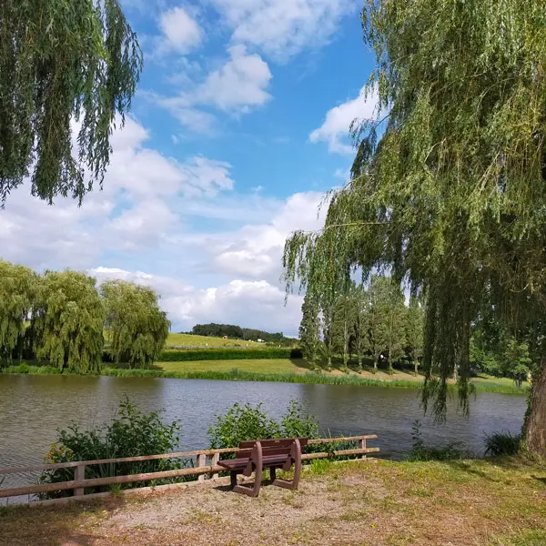 Plean-Eau-St-Martin-Bois©C-Biore(2)