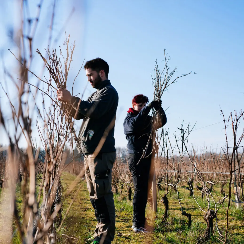 des-hommes-des-vignes-1536x1038