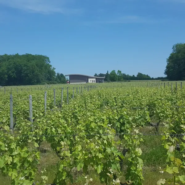 DIVIN LOIRE