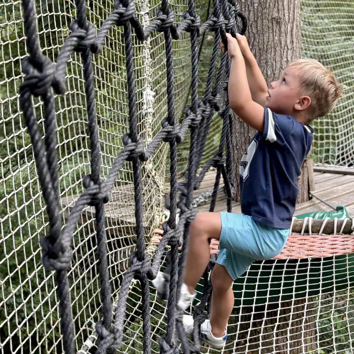 filet noir Melvy arbres