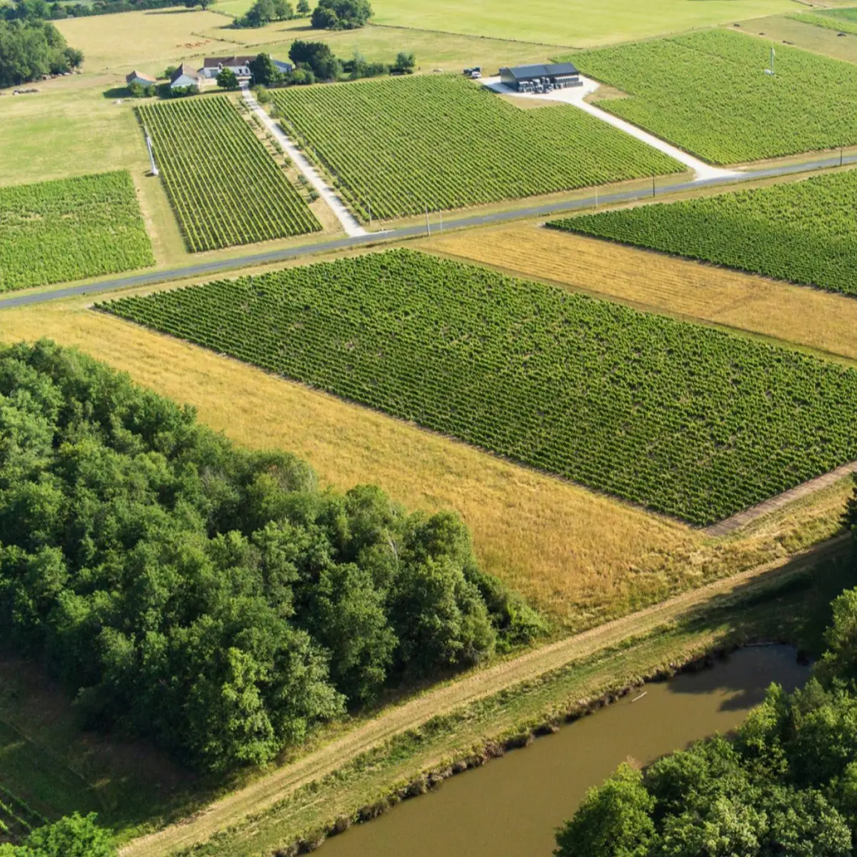 lionel-gosseaume-vigneron12-r146lxufg7zlote45iytbinbqmpbbjxqi0ck8i7zk8