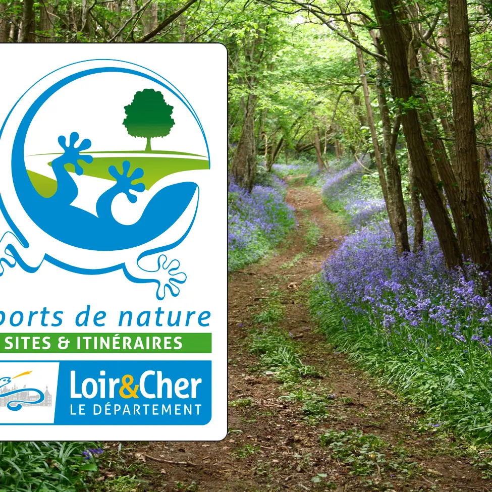 logo-tourisme-de-nature-sites-et-itineraires-chemin-forestier